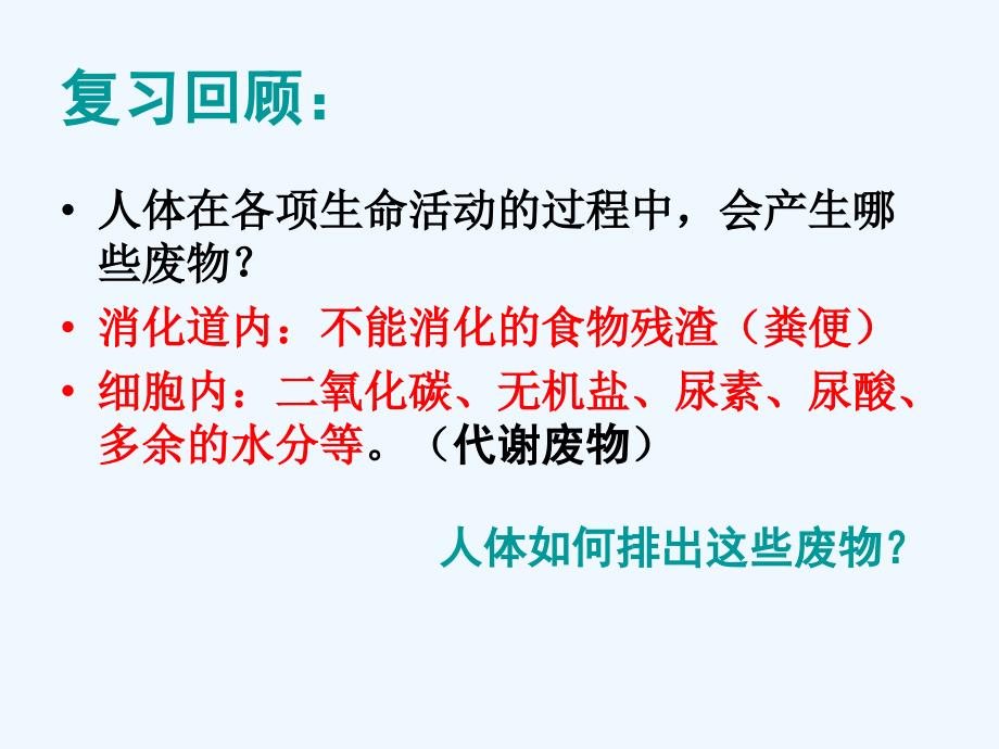 生物人教版七年级下册第一节尿的形成和排出_第2页