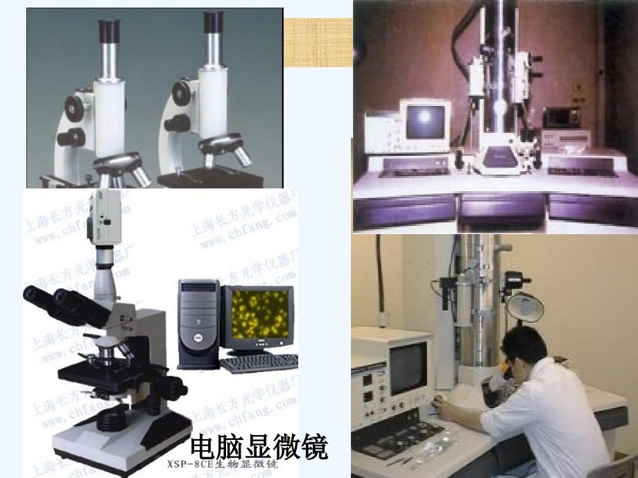 生物人教版七年级上册练习使用显微镜（课件）.1.1练习使用显微镜_第2页