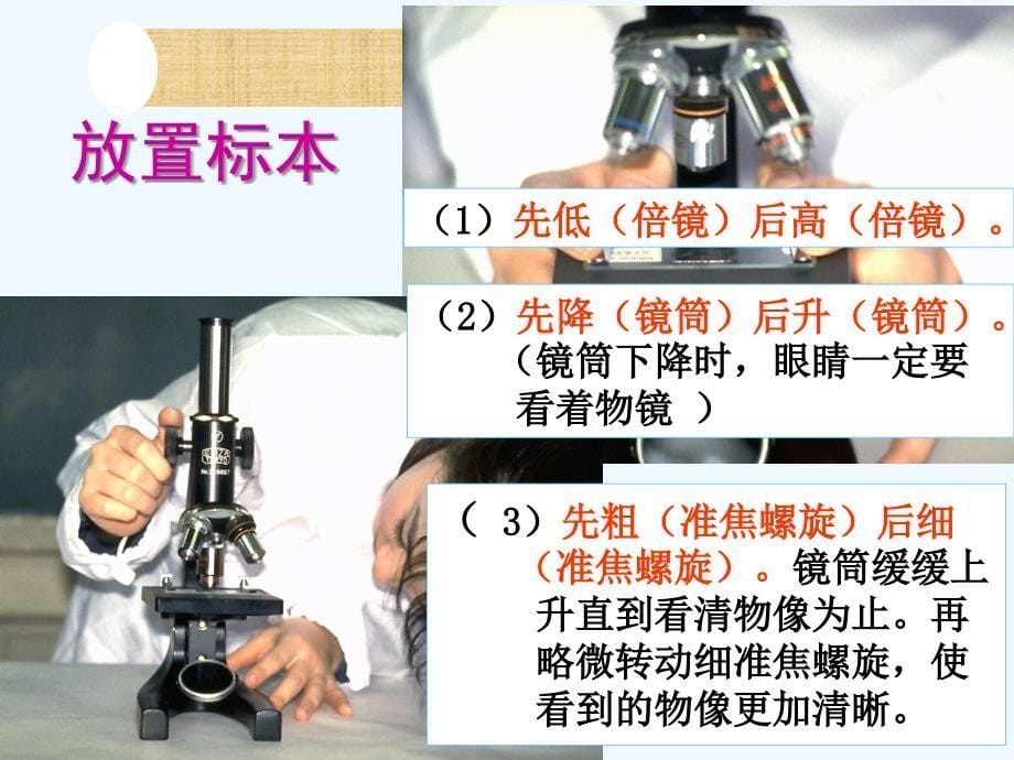 生物人教版七年级上册练习使用显微镜（课件）.1.1练习使用显微镜_第5页