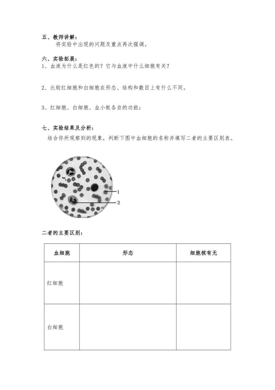 生物人教版七年级下册用显微镜观察人血的永久涂片_第2页