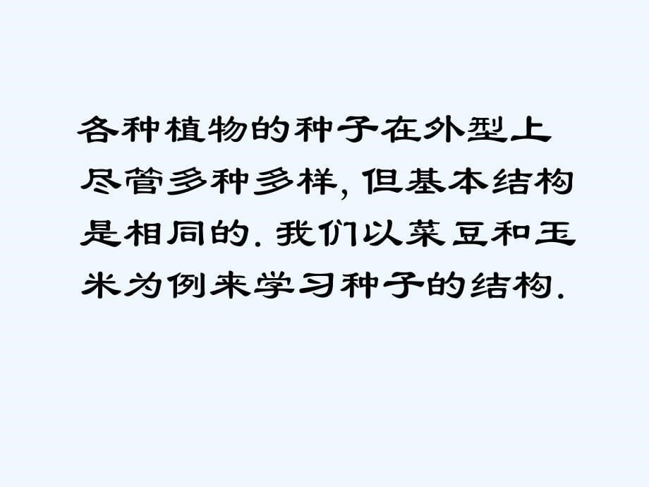 生物人教版七年级上册种子植物.1.2种子植物 课时1_第5页