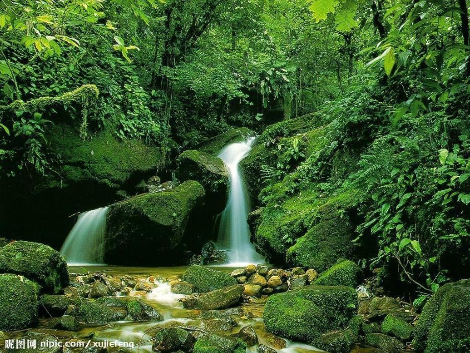 生物人教版七年级上册生物圈是最大的生态系统课件.2.3 生物圈是最大的生态系统课件 新人教版_第3页