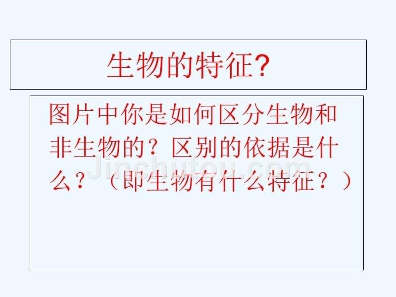 生物人教版七年级上册第一节生物的特征课件_第5页