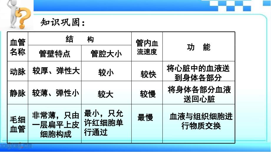 生物人教版七年级下册实验：观察小鱼尾鳍血液的流动_第2页