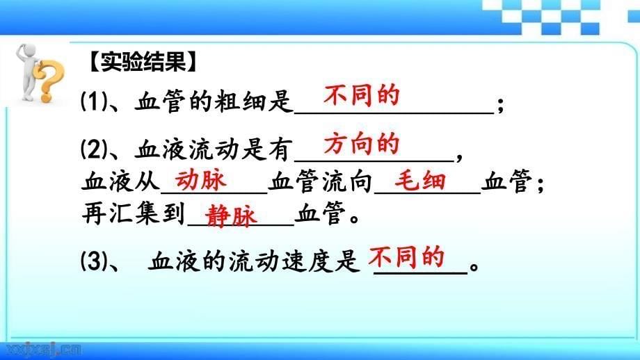 生物人教版七年级下册实验：观察小鱼尾鳍血液的流动_第5页