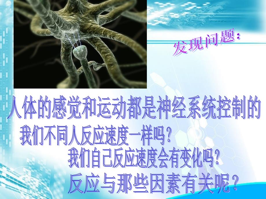 生物人教版七年级下册测定反应速度实验课件_第2页