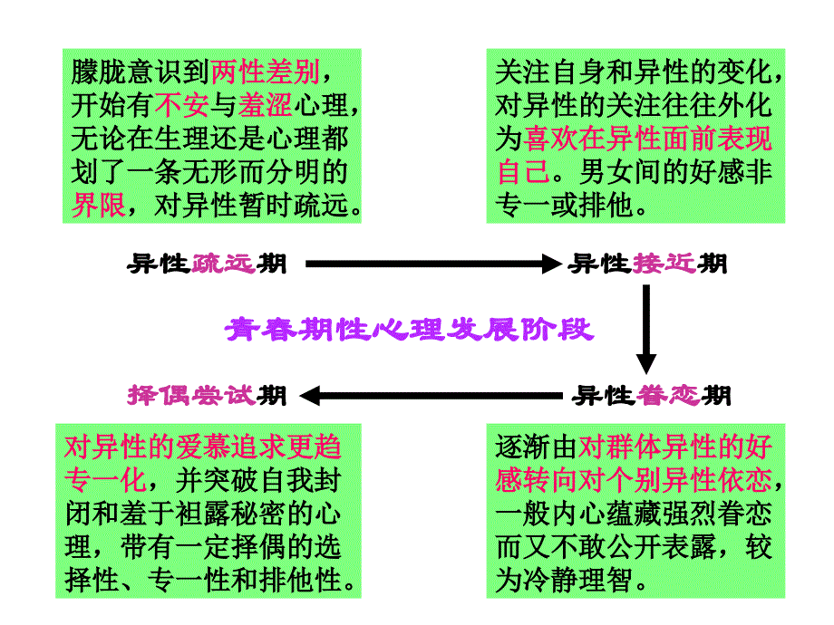 早恋教育篇教学课件作者55个ppt非常青春_第3页