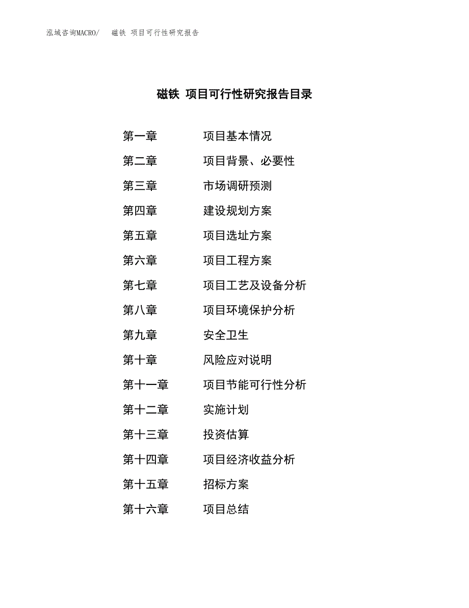 磁铁 项目可行性研究报告（总投资13000万元）（52亩）_第2页