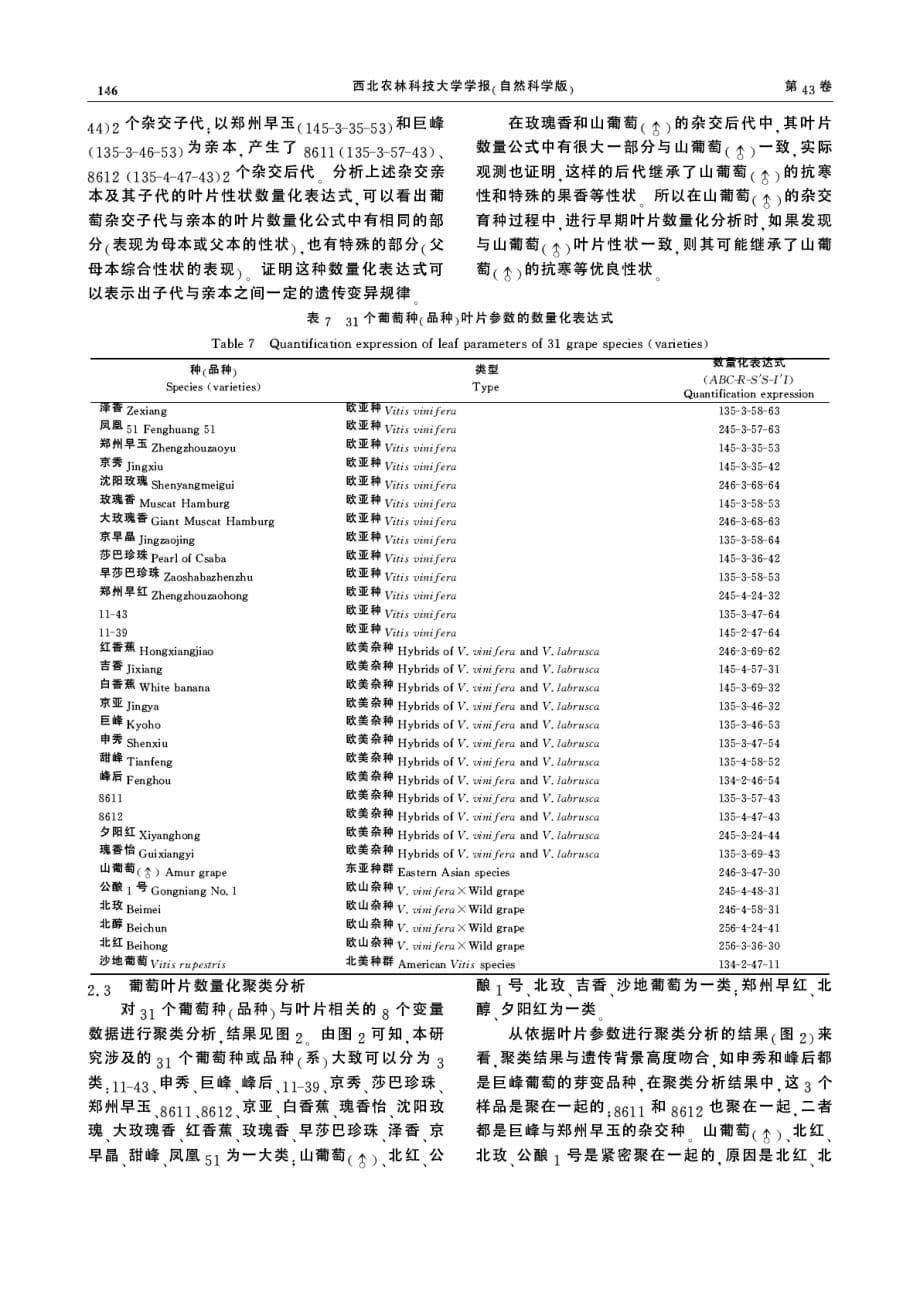 葡萄叶片数量化研究_第5页