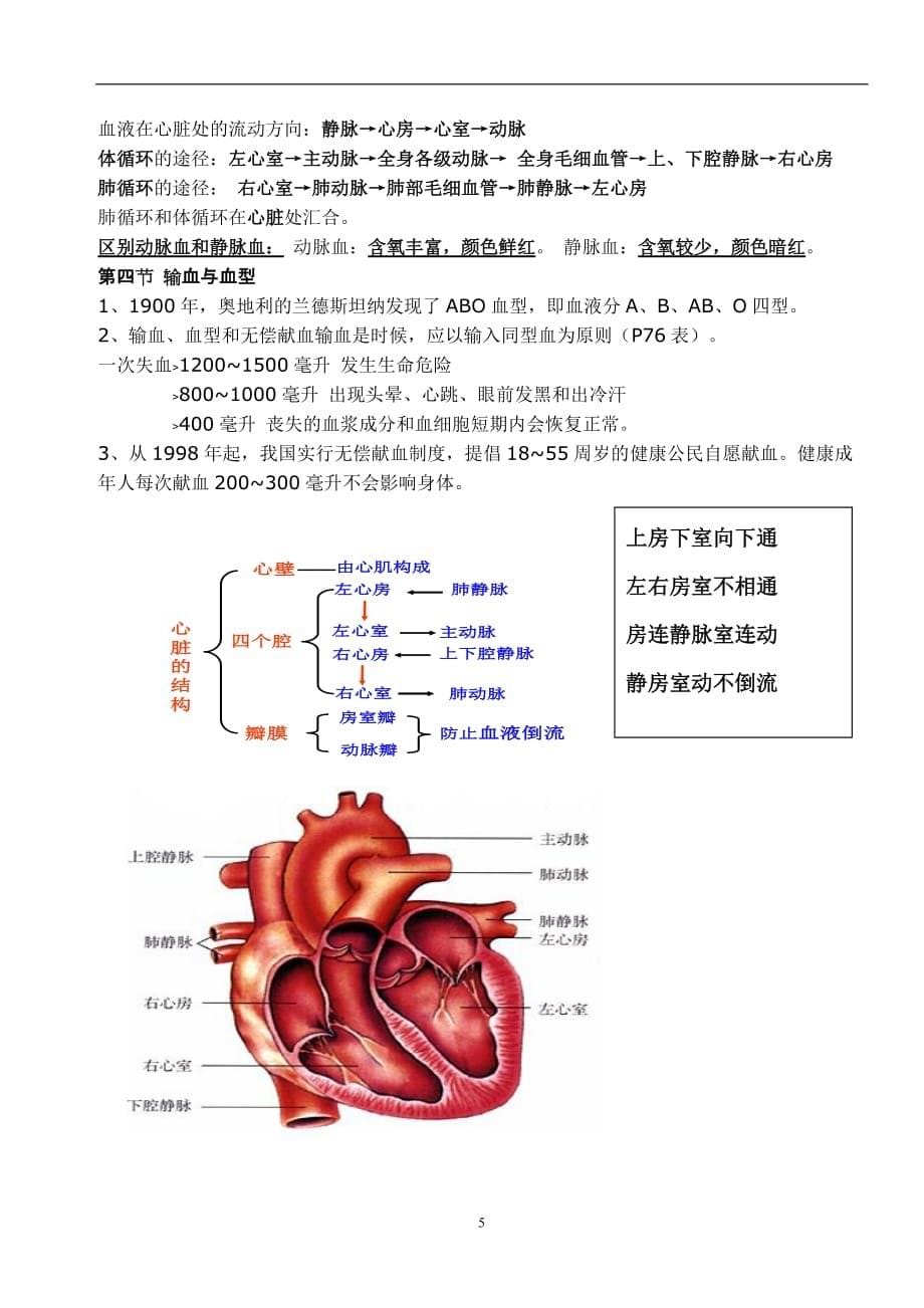 2017人教版七年级下册生物学复习提纲.doc_第5页