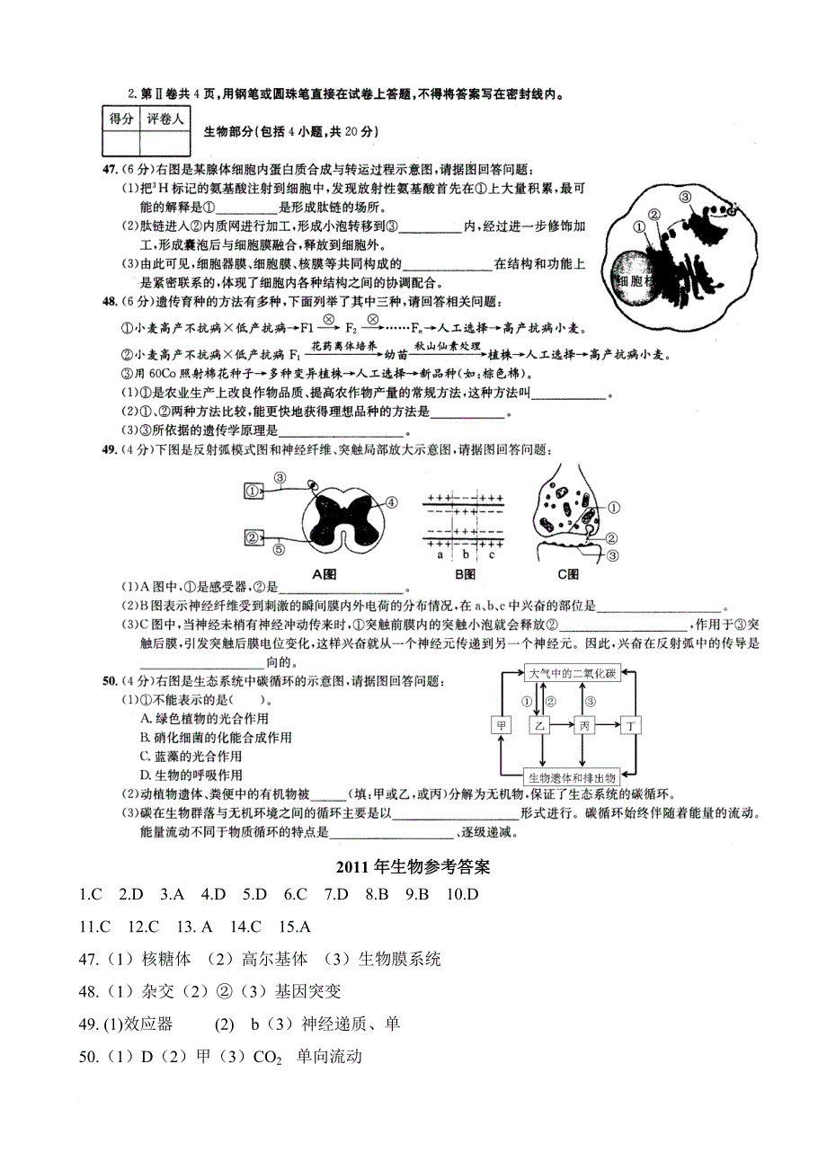 安徽生物高中学业水平测试卷会考真题(11-13年打包)_第3页