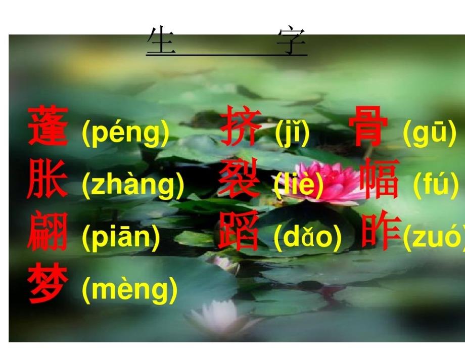 语文人教版三年级下册荷花课件._第4页