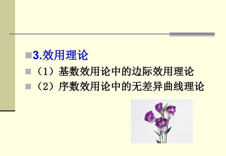 消费者行为学3e王曼ppt及参考答案教学课件第2章消费者购买行为模式与购买决策_第5页