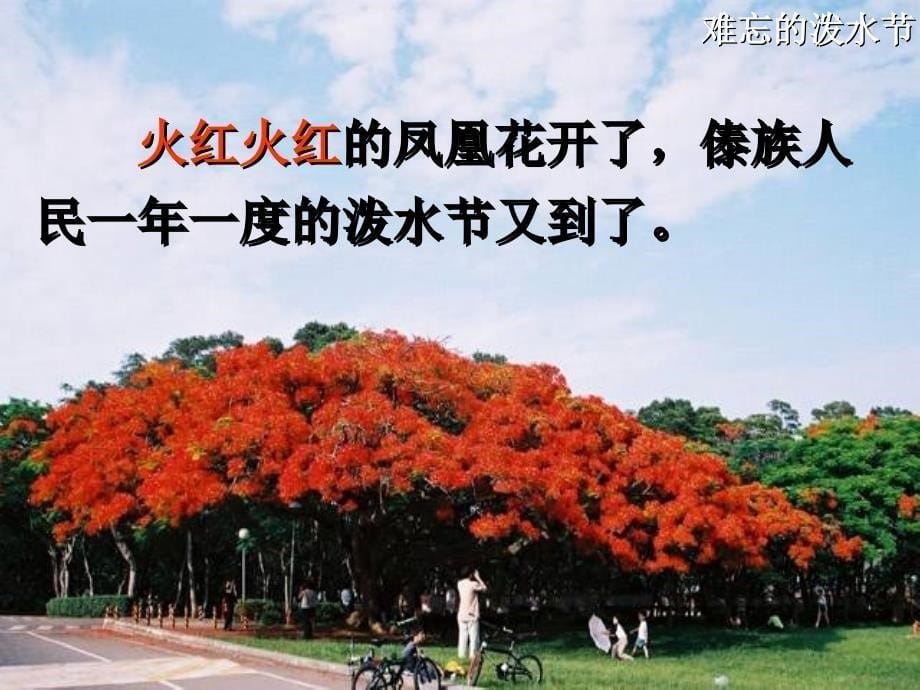 语文人教版二年级下册《难忘的泼水节》教学素材_第5页