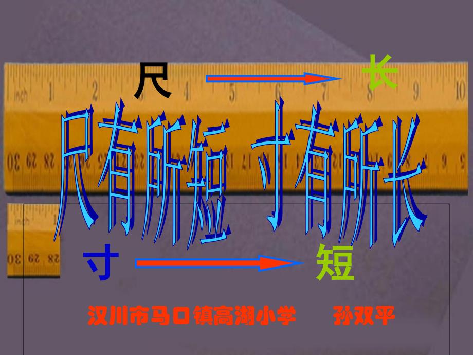 语文人教版四年级上册28、尺有所长 寸有所短_第2页