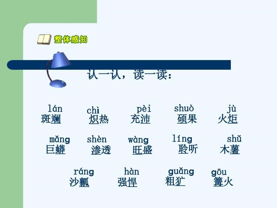 语文人教版五年级下册28 彩色的非洲_第5页