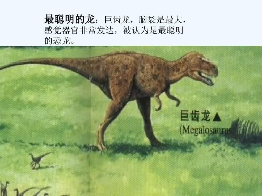 人教版语文二下《恐龙的灭绝》ppt课件_第5页