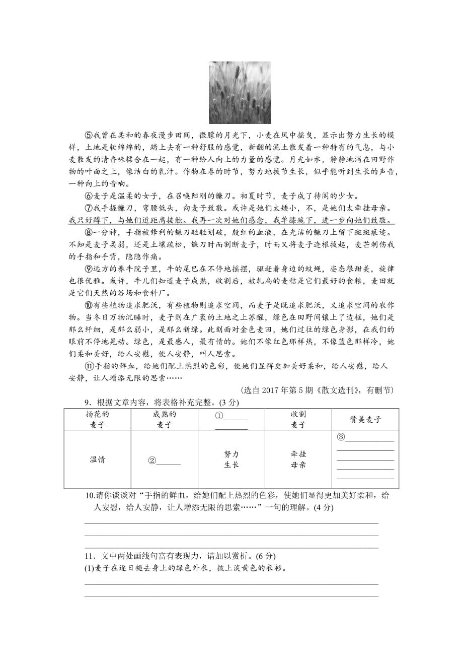 2018年安徽中考语文模拟卷(一).doc_第4页