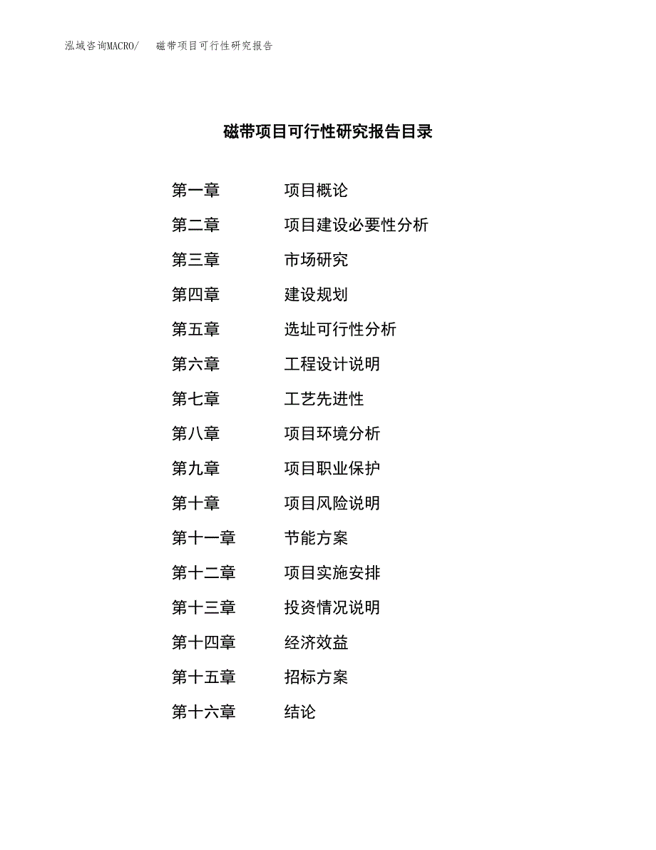 磁带项目可行性研究报告（总投资9000万元）（36亩）_第2页