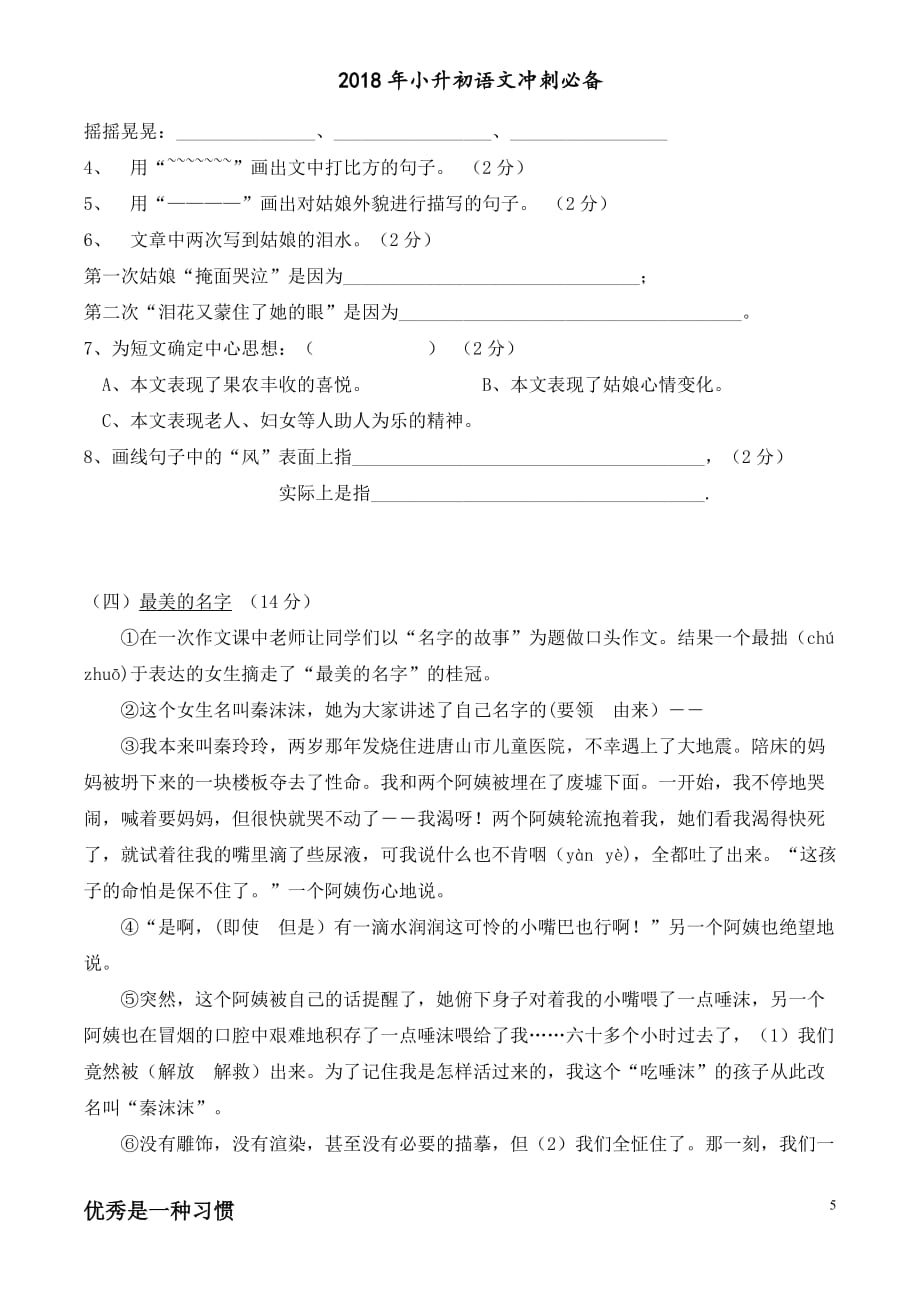 2018年小升初语文试卷.doc_第5页