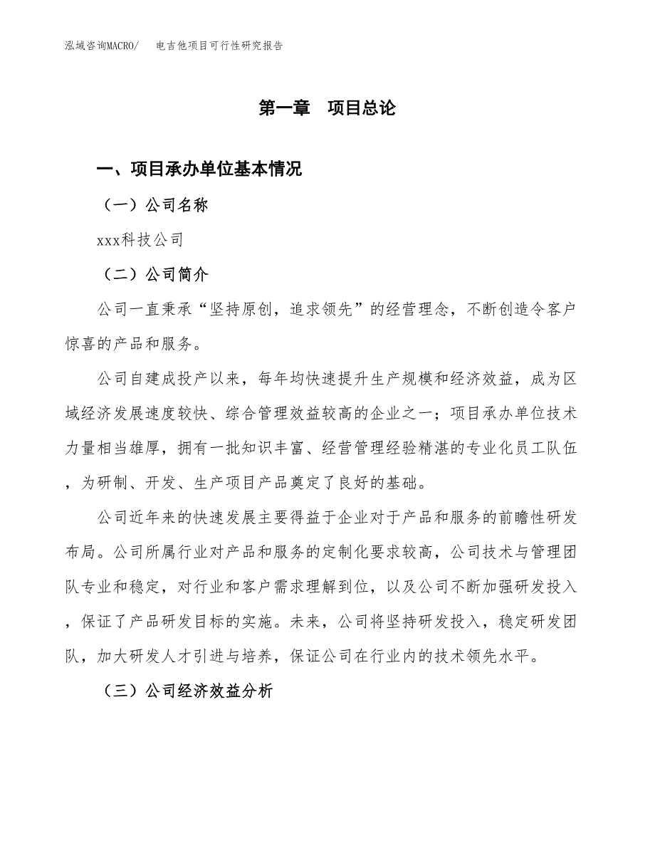 电吉他项目可行性研究报告（总投资16000万元）（63亩）_第3页