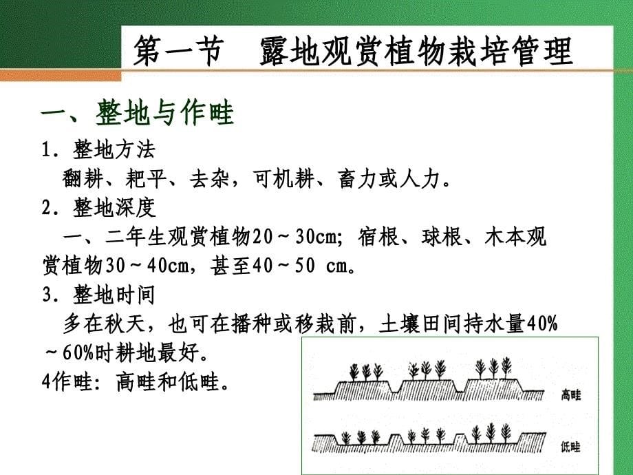 观赏植物栽培电子教案年版)第四章 观赏植物栽培管理_第5页