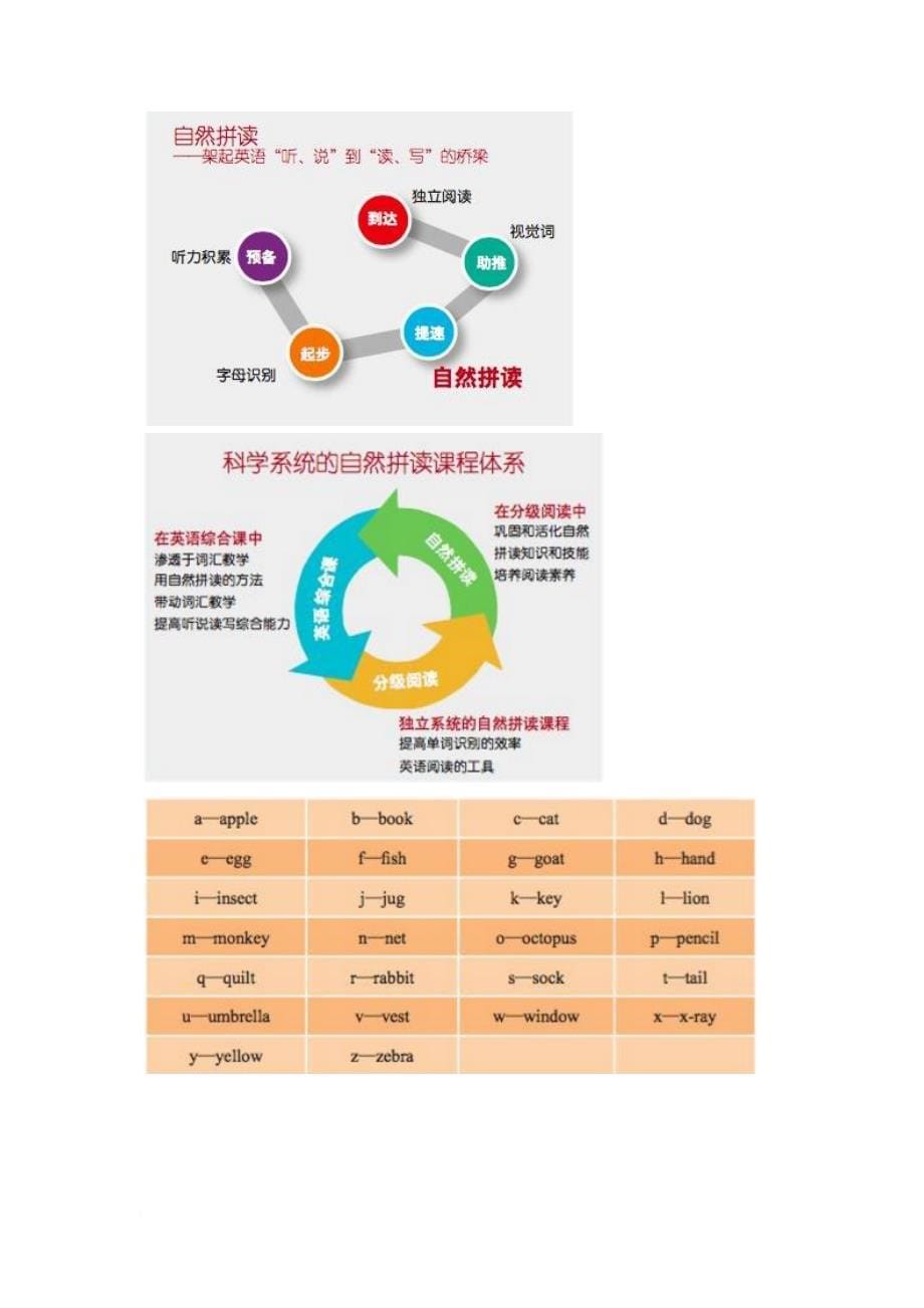 自然拼读教学大纲.doc_第5页