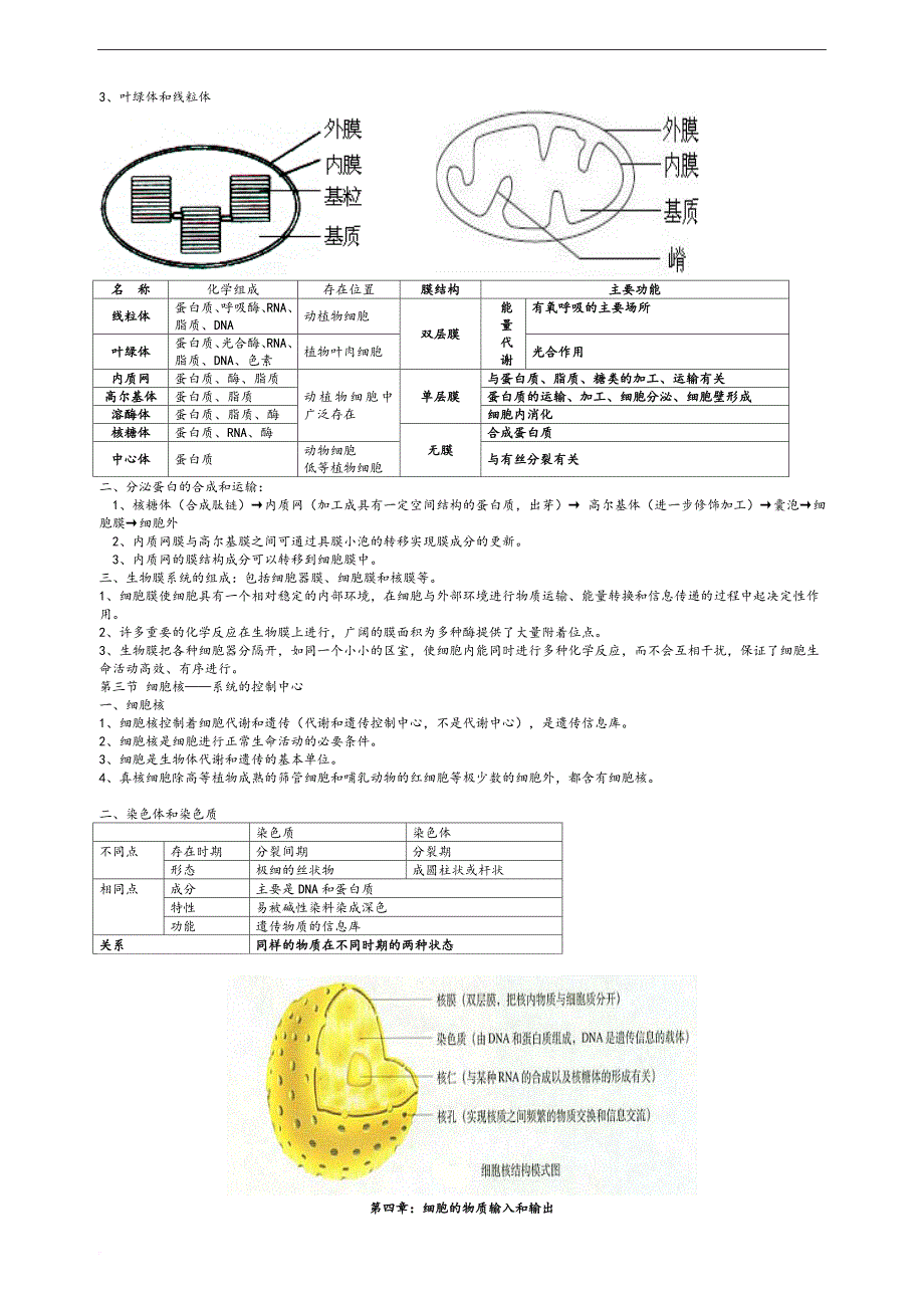 高一生物必修一知识点总结(苏教版).doc_第4页