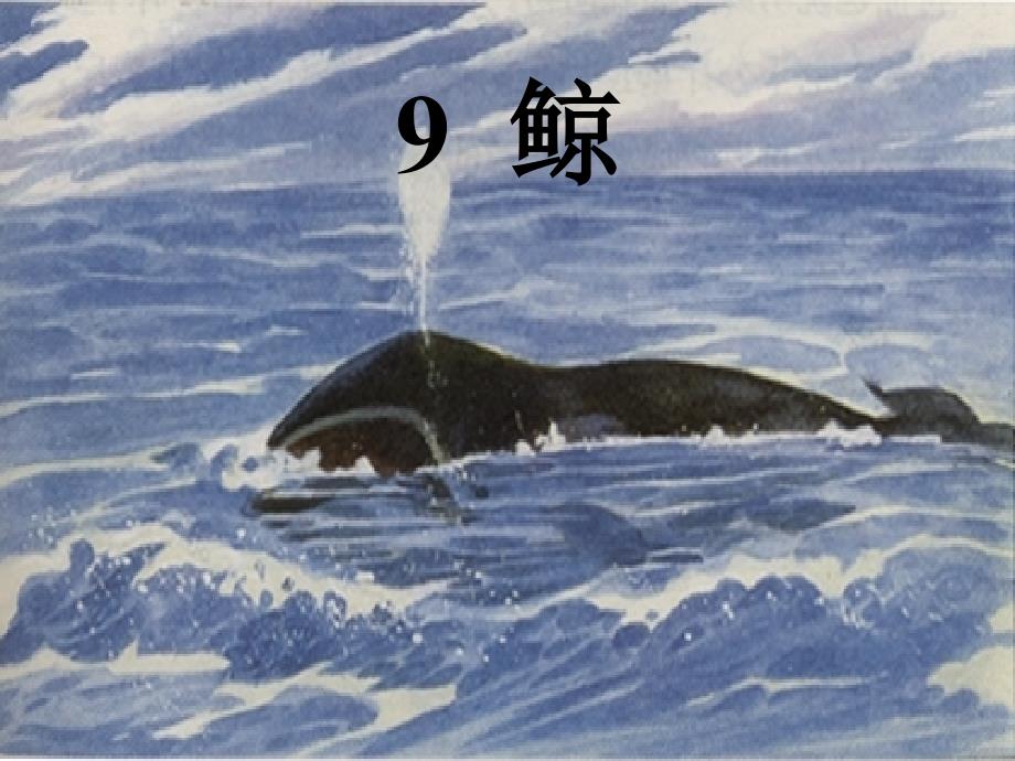语文人教版五年级上册鲸.鲸-ppt课件-_第1页