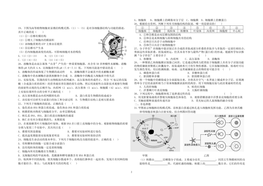 高中生物必修一第三章练习题及答案.doc_第2页