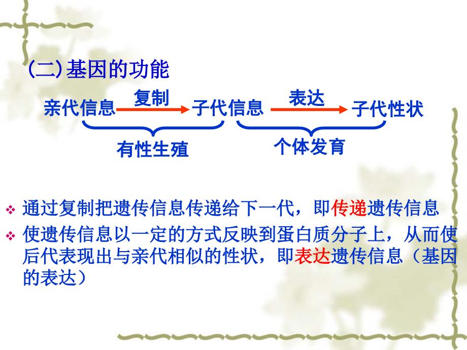 生物4-1基因指导蛋白质合成_第3页