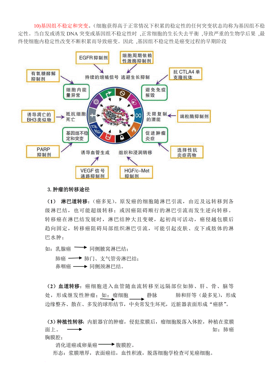 肿瘤学试题汇总.doc_第4页