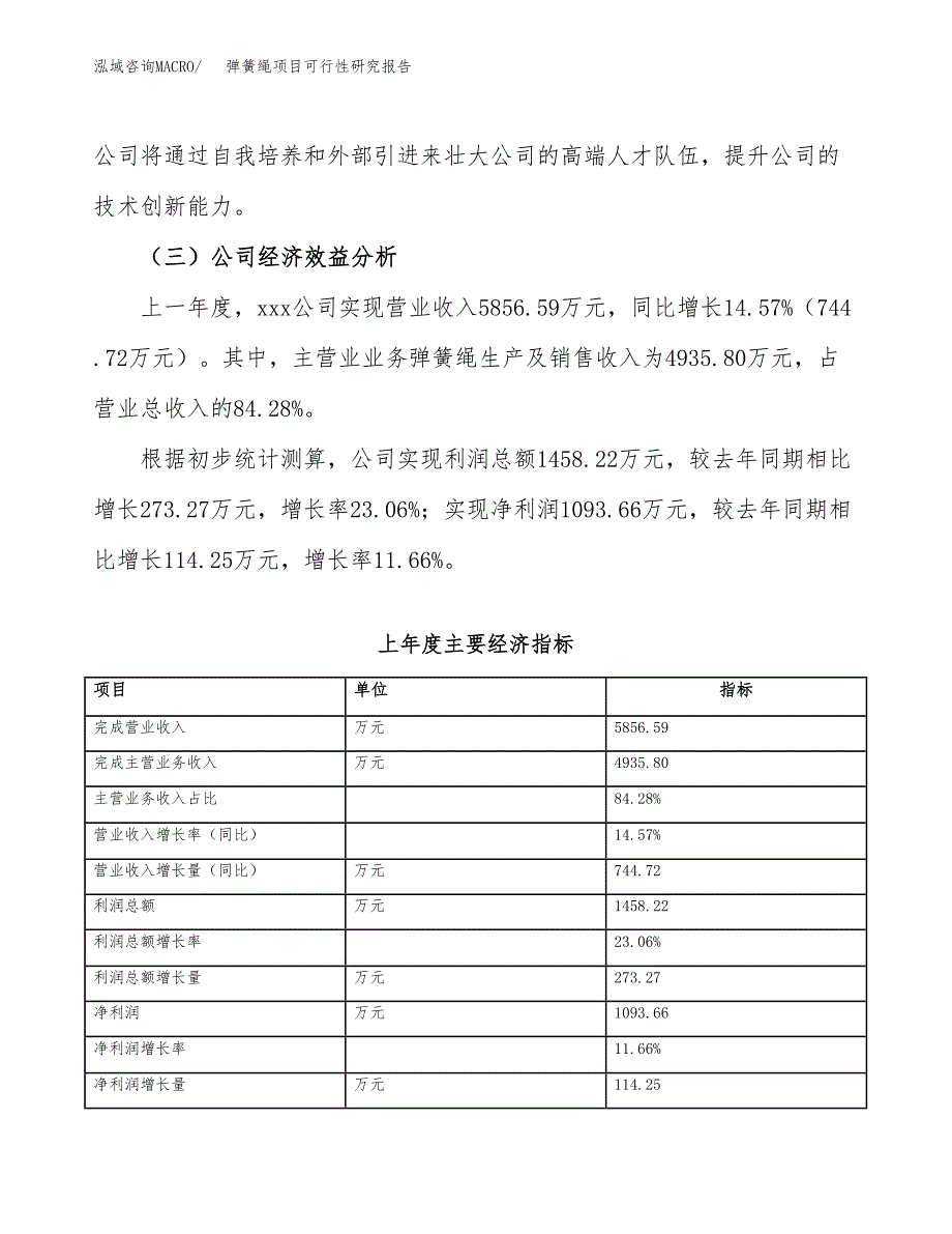 弹簧绳项目可行性研究报告（总投资8000万元）（35亩）_第4页