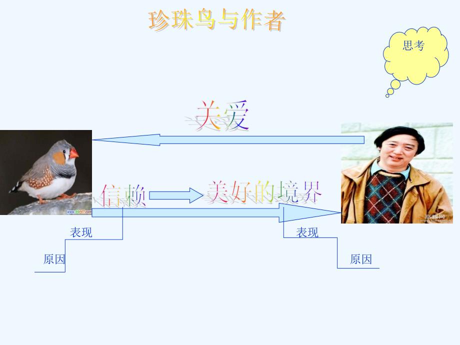 语文人教版五年级上册珍珠鸟课件_第4页