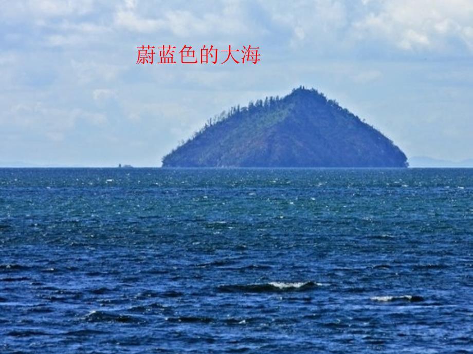 语文人教版四年级下册《和我们一样享受春天》教学设课件_第3页