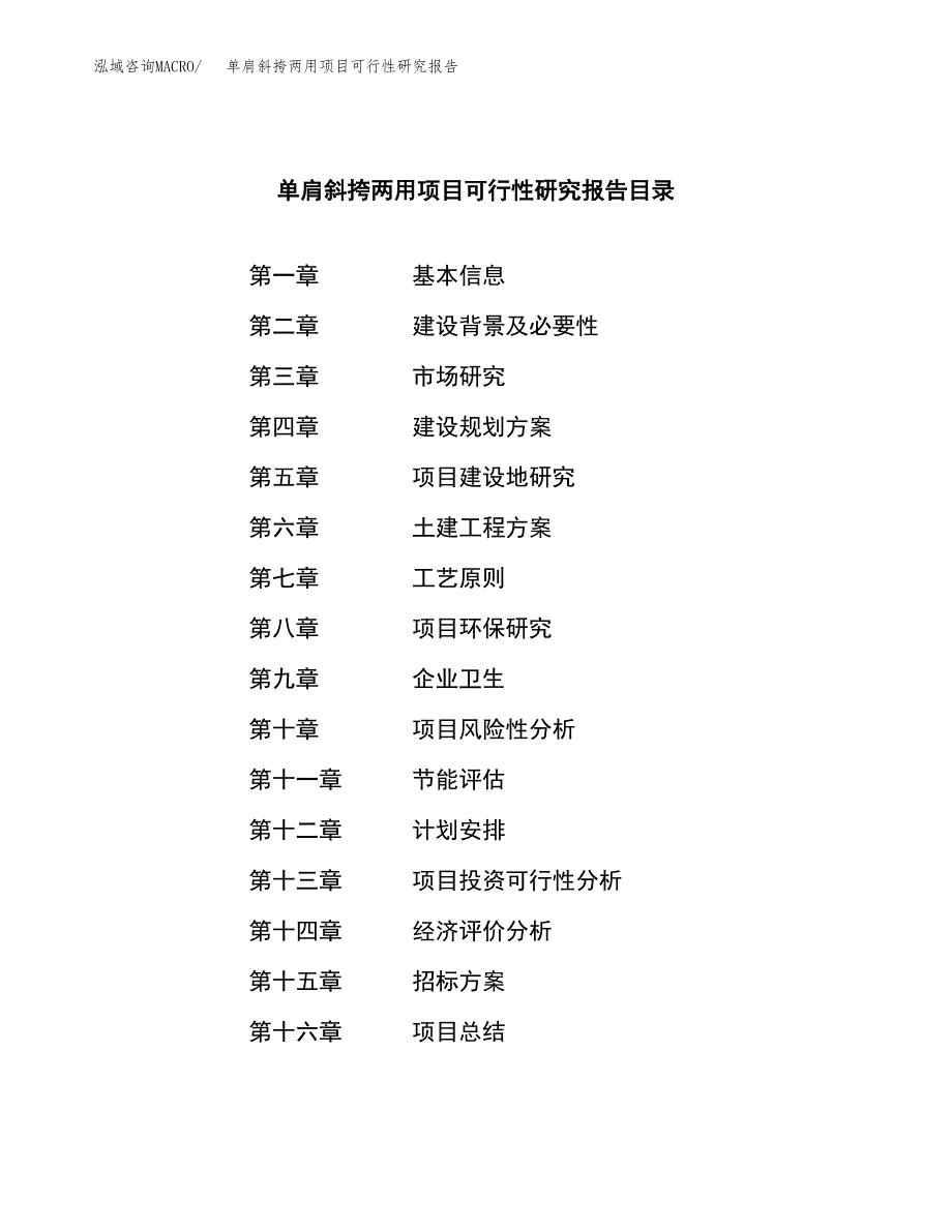 单肩斜挎两用项目可行性研究报告（总投资14000万元）（66亩）_第2页