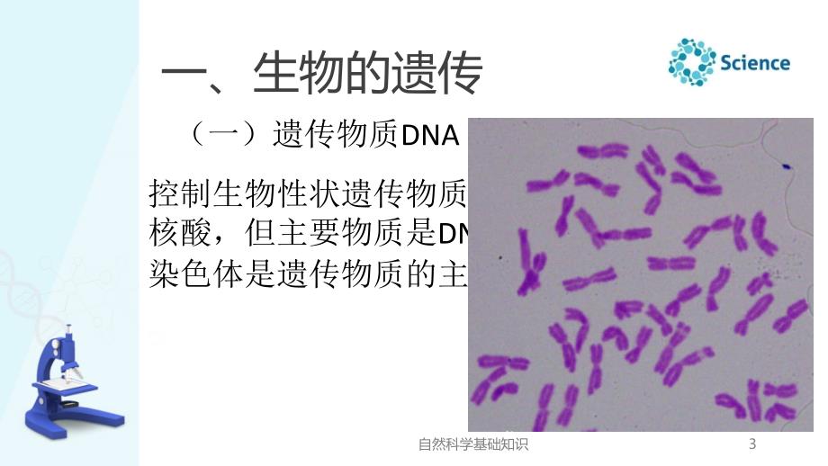 自然科学基础知识教学全套课件第1章第3节生物的遗传和变异（何仙育-道县师范）_第3页