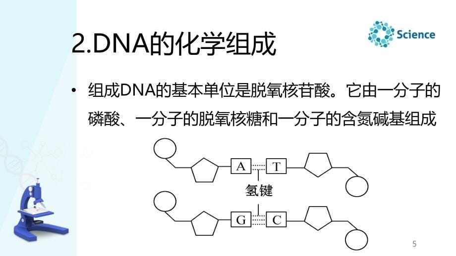 自然科学基础知识教学全套课件第1章第3节生物的遗传和变异（何仙育-道县师范）_第5页