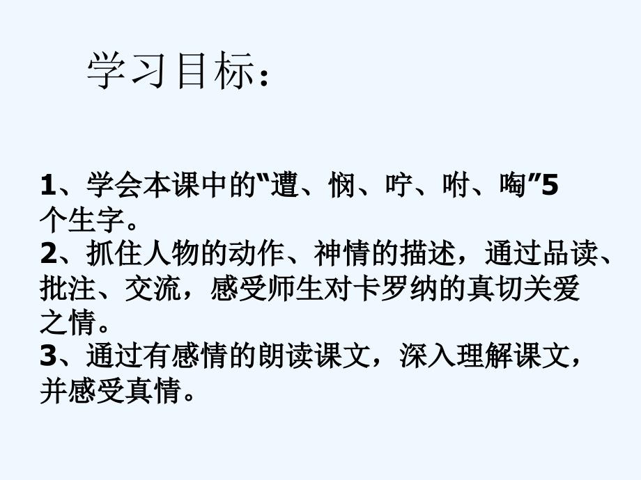 语文人教版四年级上册《卡罗纳》课件.《卡罗纳》_第2页