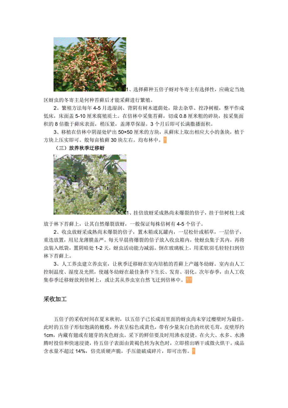 男人应该了解加仑的药物_第4页