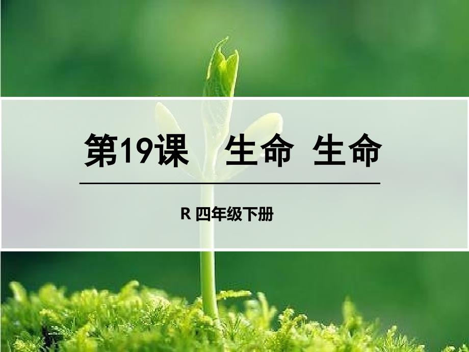 语文人教版四年级下册生命生命_第1页