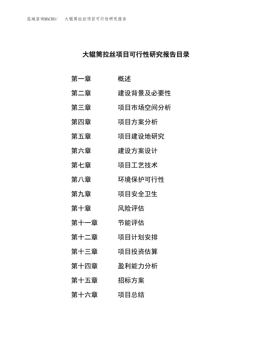 大辊筒拉丝项目可行性研究报告（总投资16000万元）（73亩）_第2页