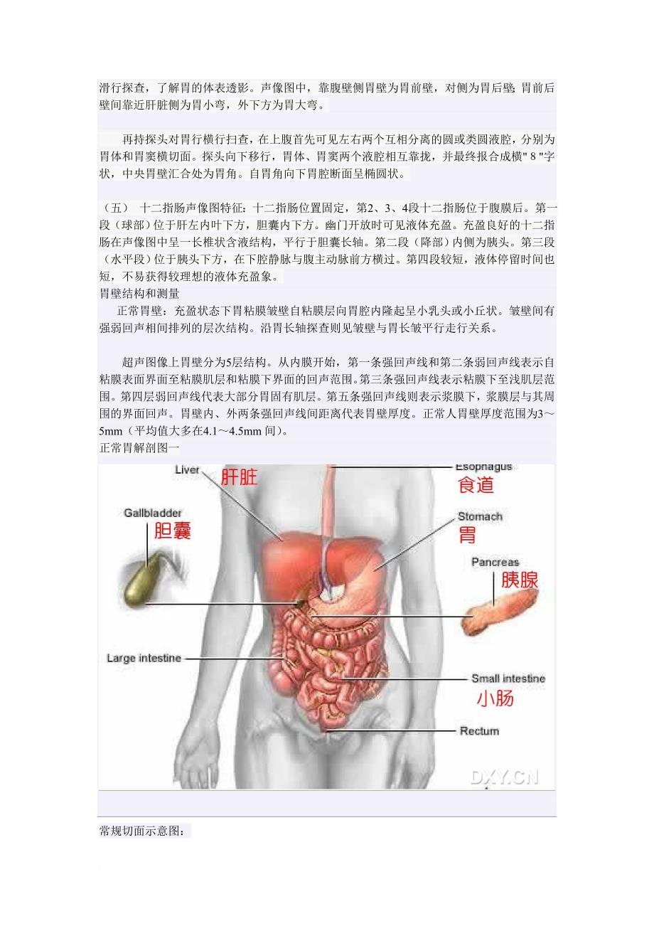 胃肠超声检查和疾病诊断.doc_第4页