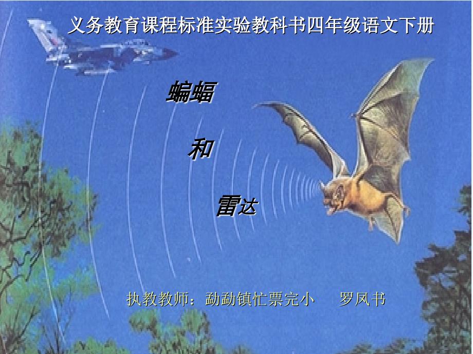 语文人教版四年级下册蝙蝠和雷达课件.蝙蝠和雷达课件_第1页