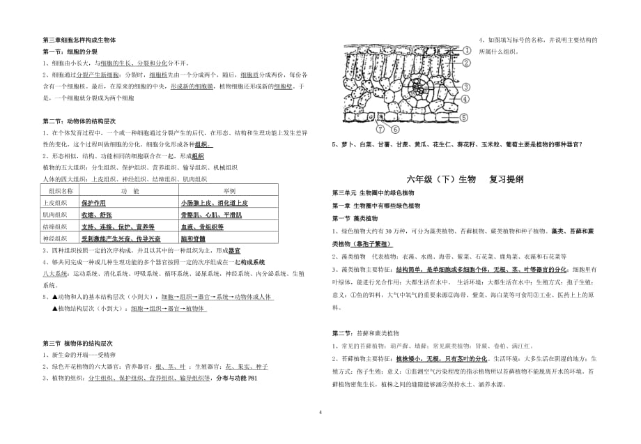 鲁教版六年级生物复习提纲.doc_第4页