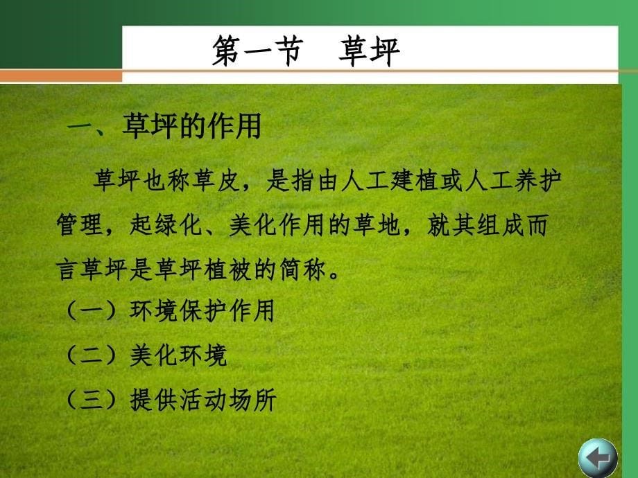 观赏植物栽培电子教案全套配套课件2009年版第八章草坪与地被植物_第5页