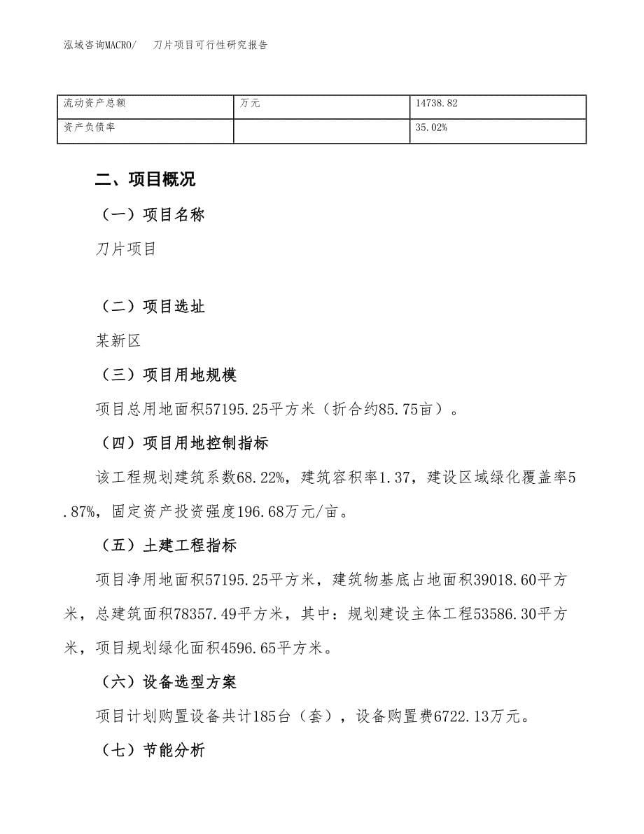 刀片项目可行性研究报告（总投资24000万元）（86亩）_第5页