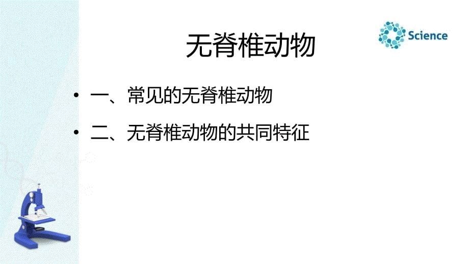 自然科学基础知识教学全套课件第3章第3节无脊椎动物的主要类群（王路青-湘南幼专）_第5页