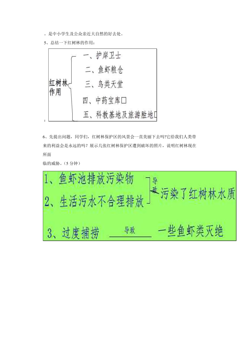 红树林保护意识教案.doc_第4页