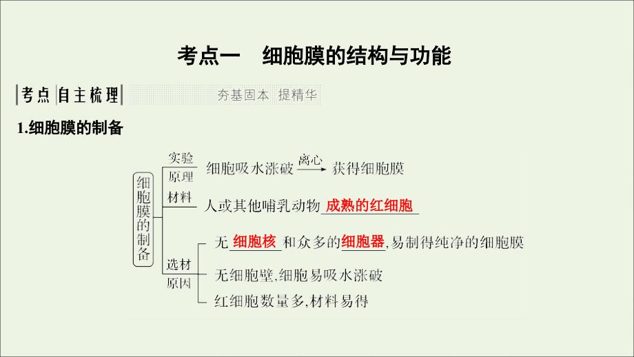 （江苏专用）2020版新高考生物 第二单元 细胞的基本结构与物质运输 第4讲 细胞膜与细胞核课件_第3页